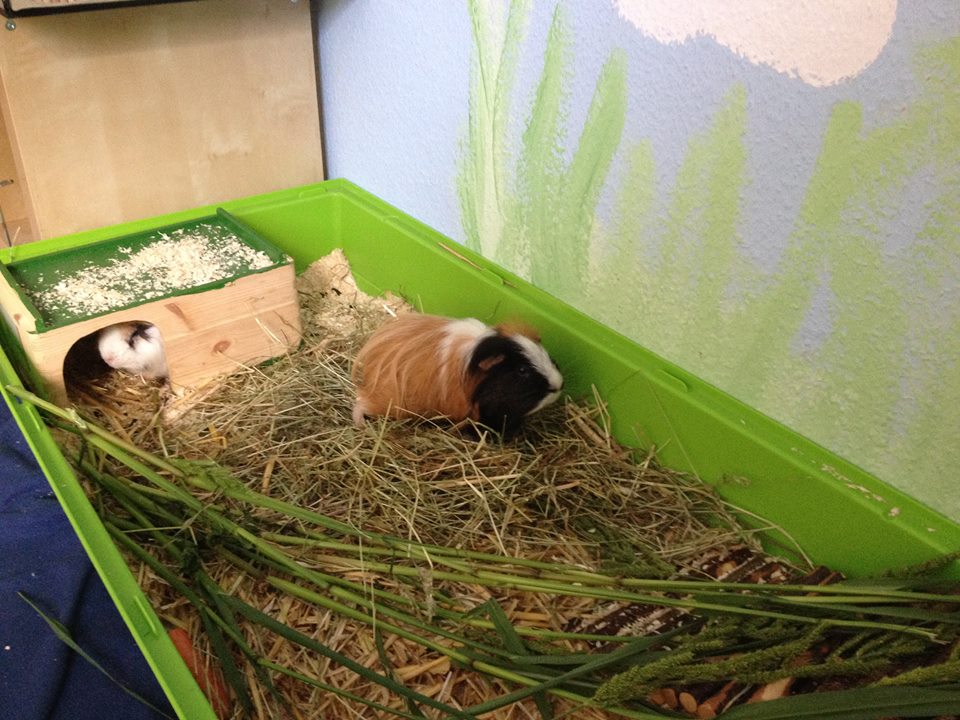 10482137 1464395770512048 863953827469283678 n