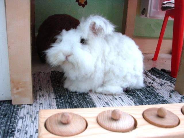 10500537 1437691289849163 6976554392166358525 n