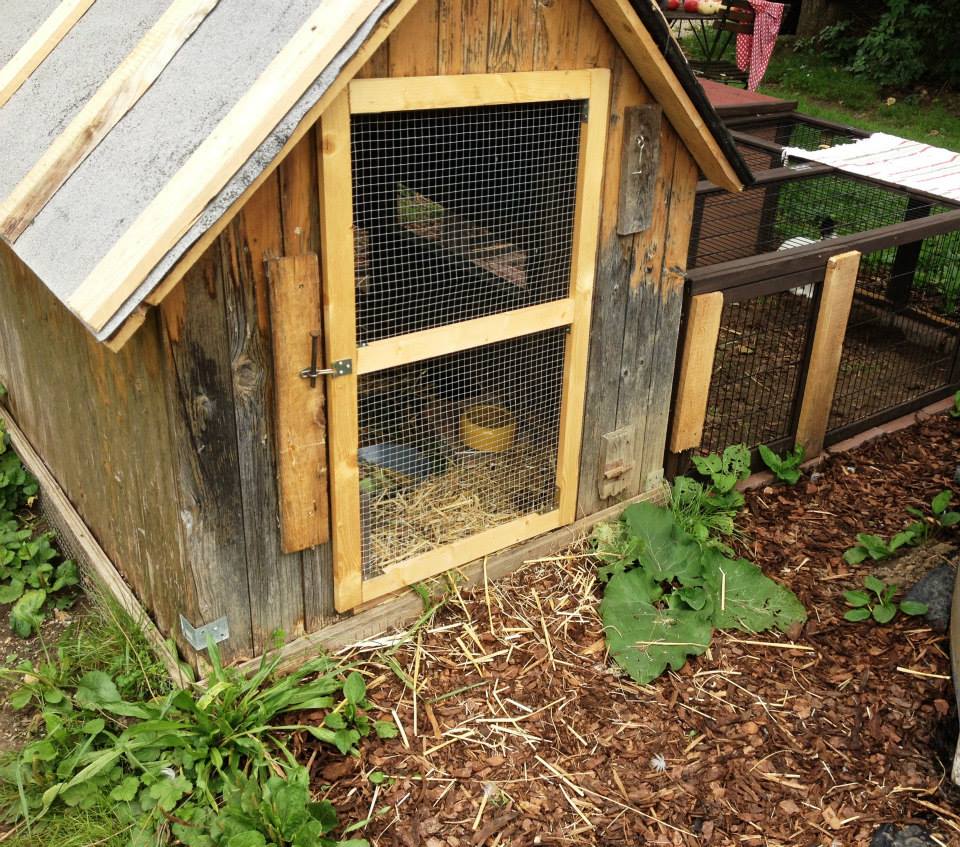 10593027 1464396603845298 6755860836814798255 n