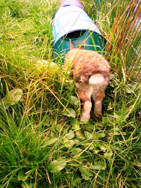 10599420 1467627633522195 1416000741414143581 n