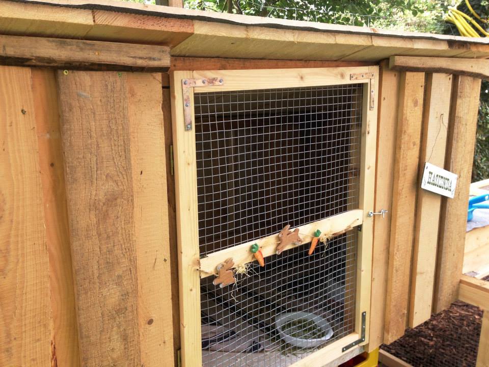 10599486 1464396533845305 2924279770632734596 n