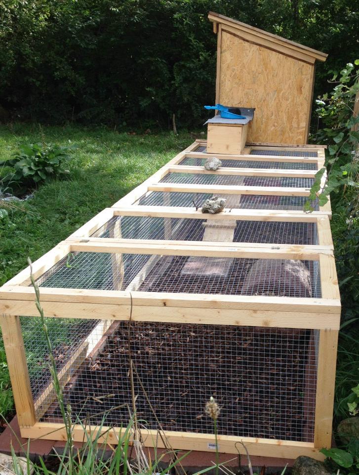 10606358 1464397013845257 3038632978618575999 n