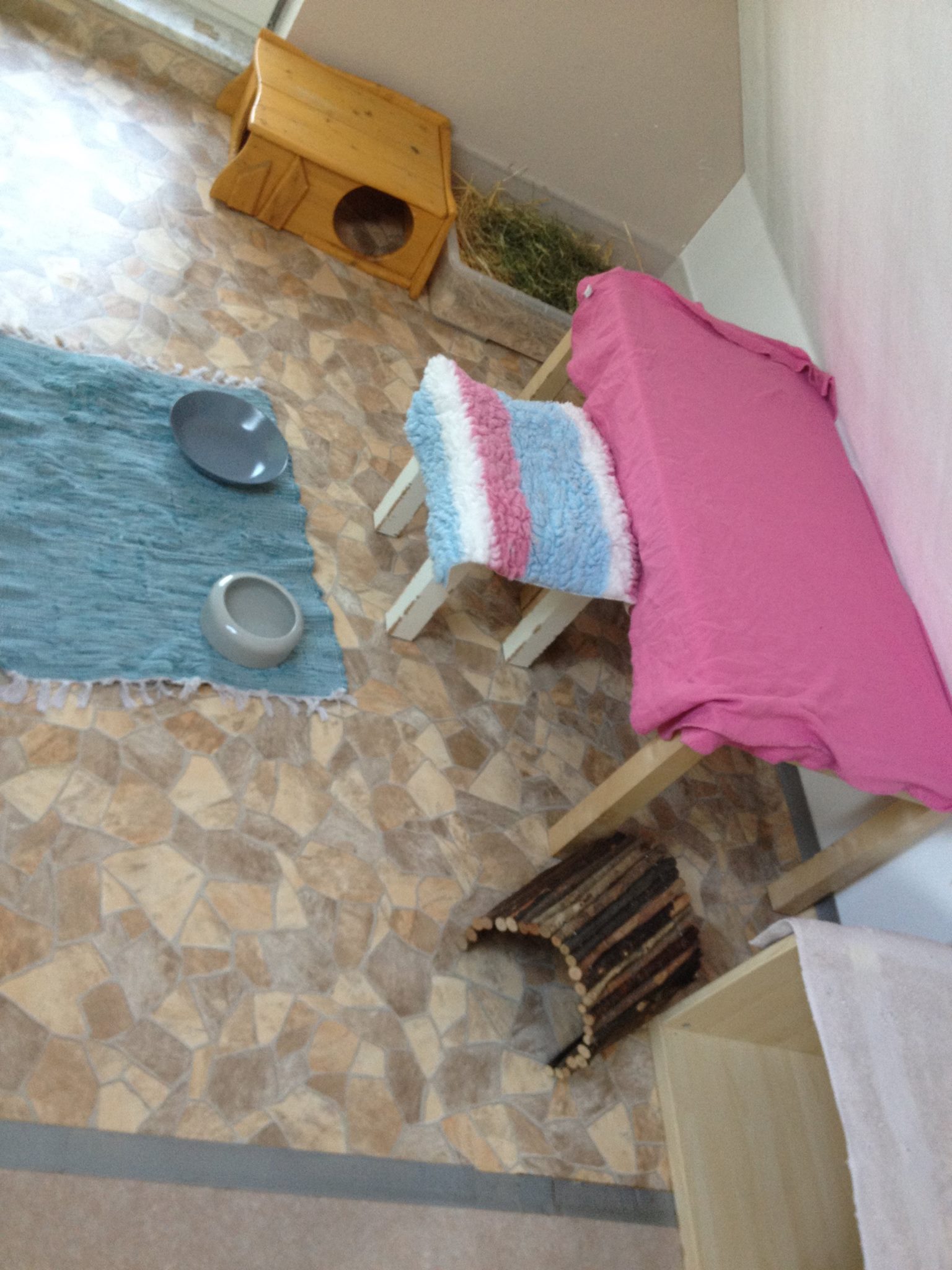 10623813 1704694093148880 5060314007073209921 o