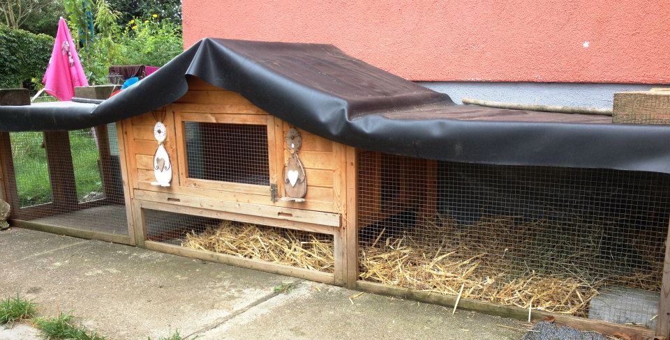 10629589 1464396613845297 907838288759200516 n