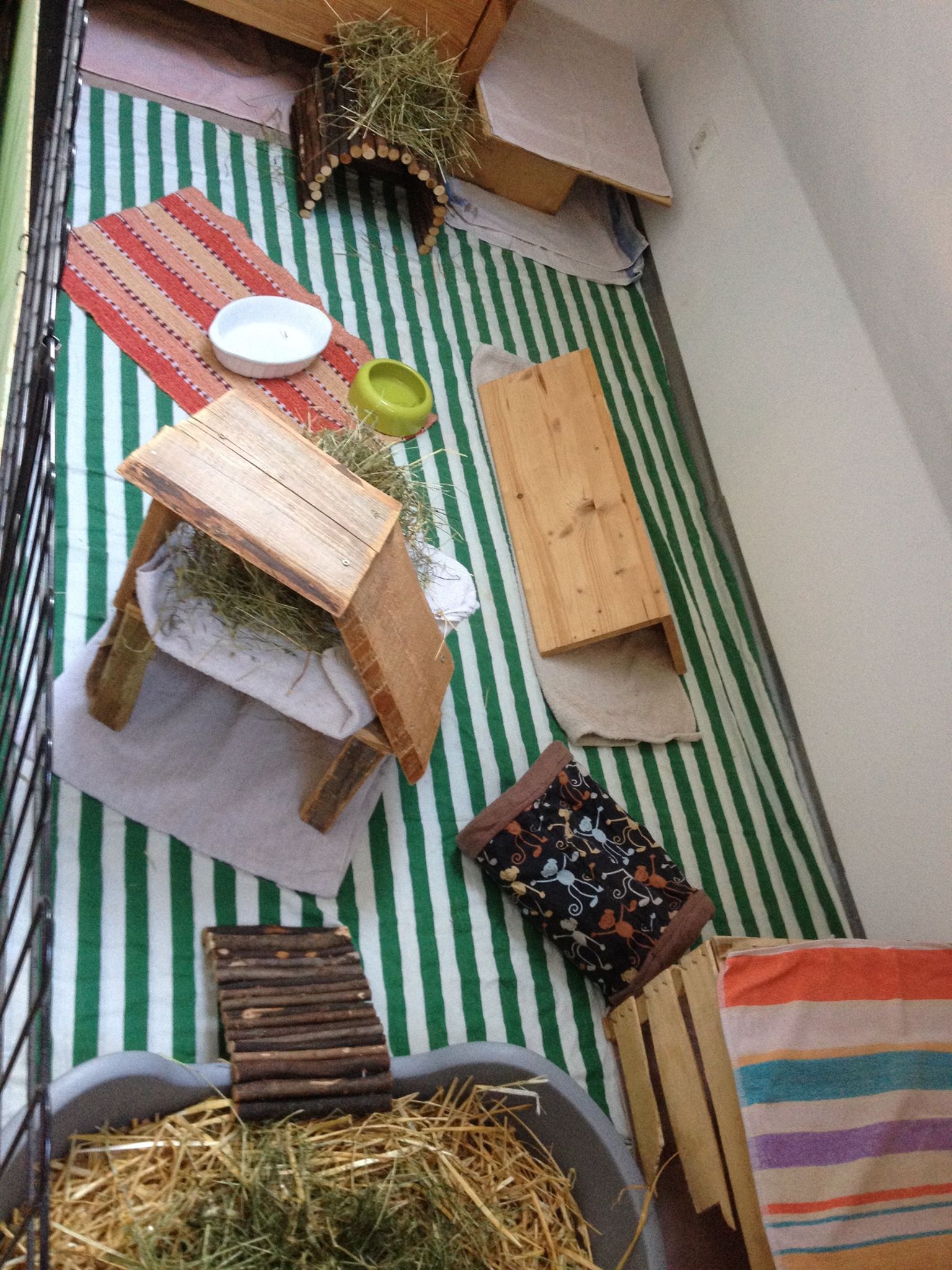 Betreuung im Haus 5 mit Stroh und Heu