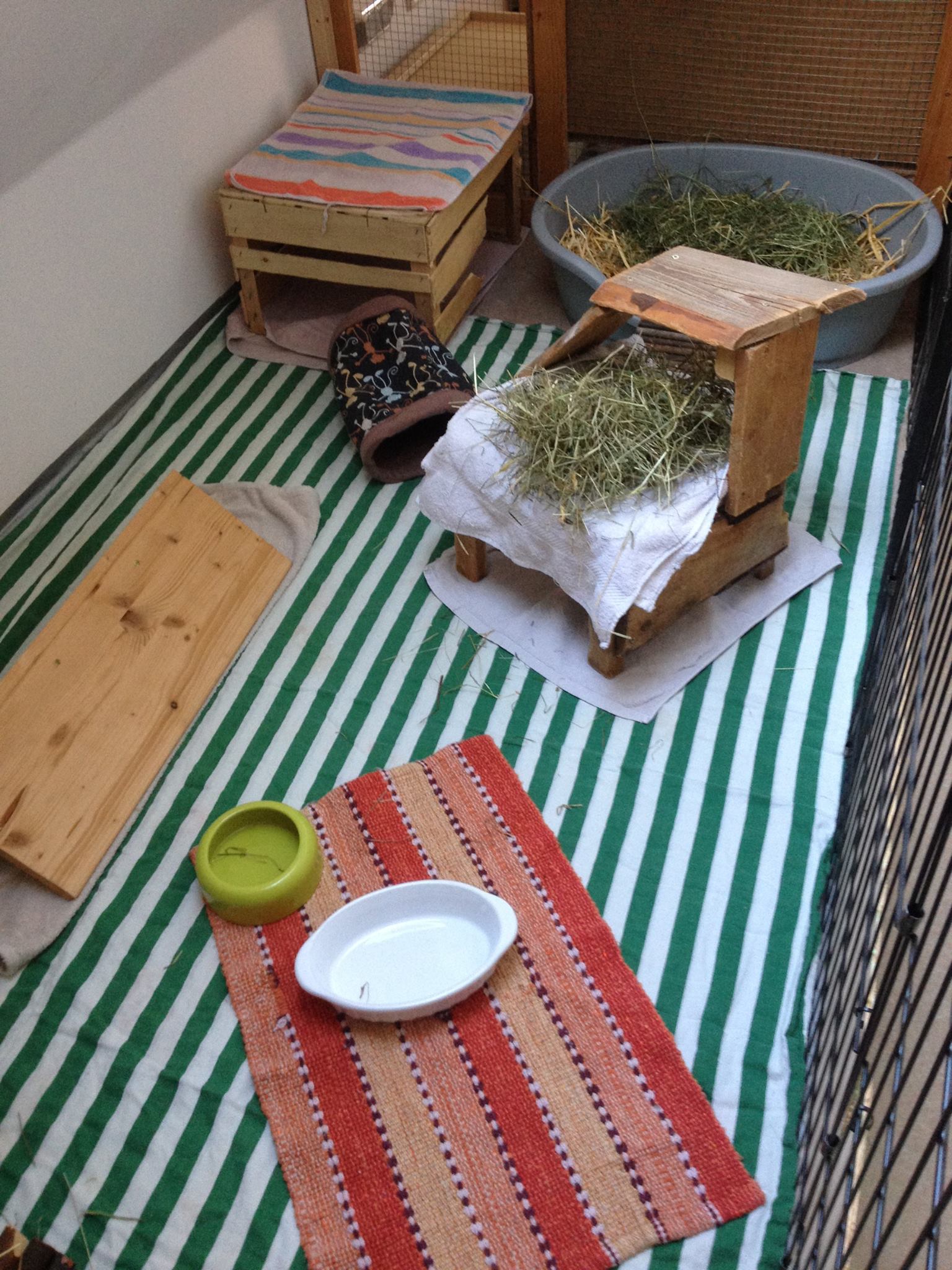 Betreuung im Haus 5 mit viel Heu