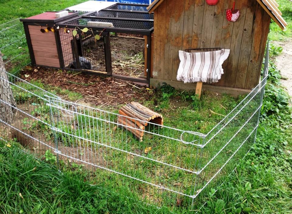 Grosses Aussengehege mit Rasen